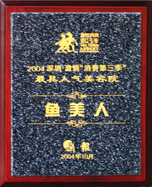 尊龙凯时获2004年最具人气奖